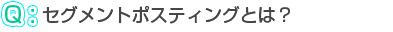 セグメントポスティング？